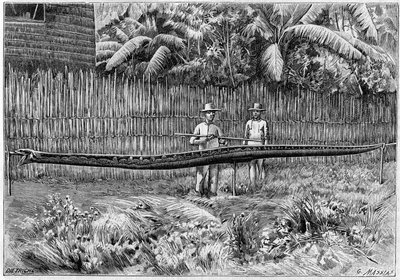 Kůže hada Python, 6,60 m dlouhá, zachycená na Filipínských ostrovech. (Z fotografie). Rytina v „“ La Nature: revue des sciences et de leurs applications aux arts et a l