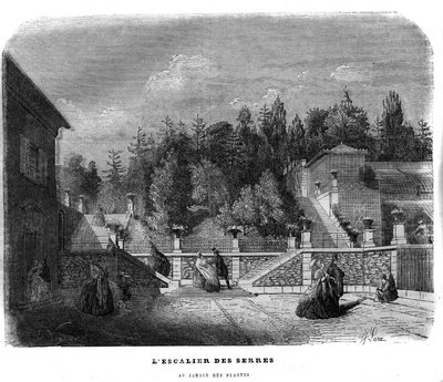 Schodiště skleníků v zahradě rostlin v Paříži v roce 1858. od Unknown artist