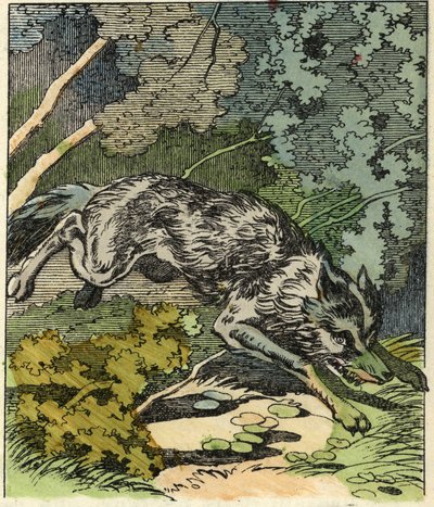 Vlk běží k babičce. Ilustrace pohádky „Červená karkulka“ od Charlese Perraulta od Unknown artist