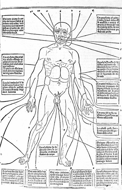 Tento obrázek ukazuje místa těla nebo nácvik krvácení v závislosti na bolesti. Pojednání o lékařství od Gerolama Cardana (Cardanus Hieronymus), Florencie od Unknown artist