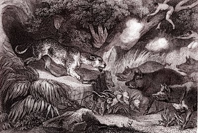 Lov tygra v amazonském pralese(rytina) od Unknown Artist