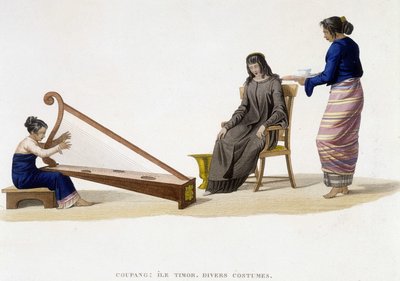 Různé kostýmy žen z ostrova Timor (Coupang). od Unknown artist
