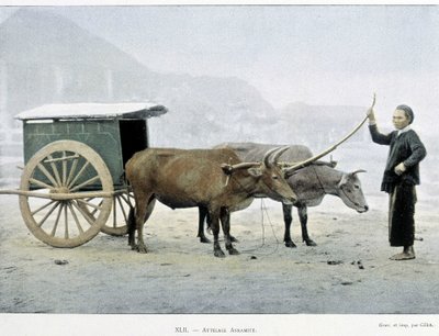 Vietnamský Hitch, „“Around the World“, konec 19. století. od Unknown artist