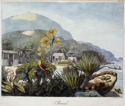Pohled na Brazílii v „“ Pohledy a krajiny rovnodenných oblastí, shromážděné na cestě kolem světa“, sd. 19. století od Unknown artist