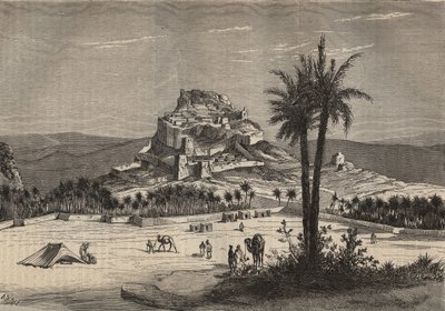 Pohled na Oued el Golea (El Menia nebo El Menea dříve El Golea) v Alžírsku na jihu provincie Oran na konci 19. století - rytina od Unknown artist
