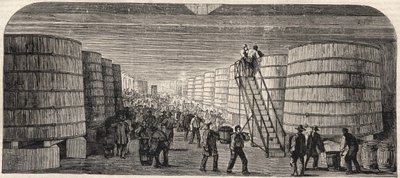 Pohled do sklepení na zámku - Lafitte v roce 1860 od Unknown artist
