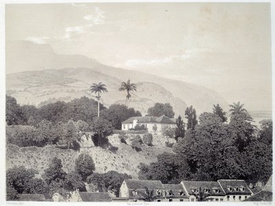 Pohled na domy z Boulevard de la Comedie v Saint Pierre na Martiniku na Antilách. Tisk podle fotografie z konce 19. století Chartres musee des Beaux Arts od Unknown artist