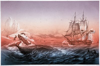 Velrybářská loď nedokázala zachránit své velrybí převrácené čluny od Unknown artist