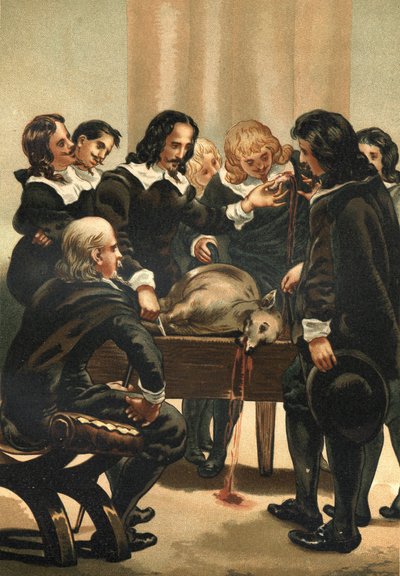 William Harvey (1578-1658) anglický lékař demonstrující krevní oběh v roce 1628 od Unknown artist