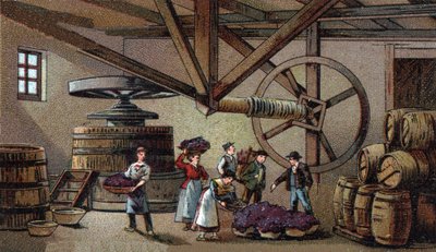 Výroba vína: vinný lis hospice Beaune (clos vougeot). Chromolitografie konce 19. století od Unknown artist