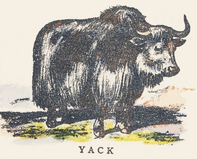 Y: Yak od Unknown artist