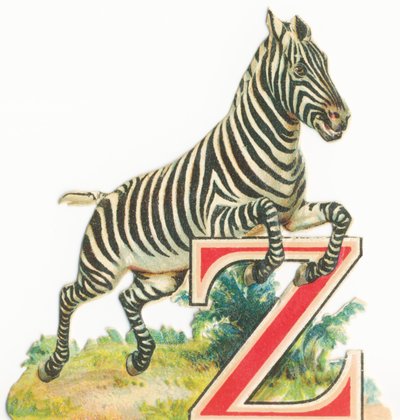 Od: Zebra od Unknown artist
