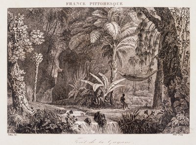 rytina zobrazující francouzskou kolonii Guyana v Jižní Americe 1850 od Unknown artist