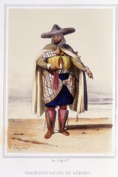 velký arabský kuchař pouště během druhé poloviny 19. století. od Unknown artist