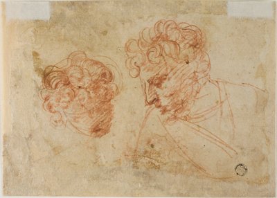 Dvě skici hlav (recto); dvě skici zahalené ženy (verso) od Unknown Florentine