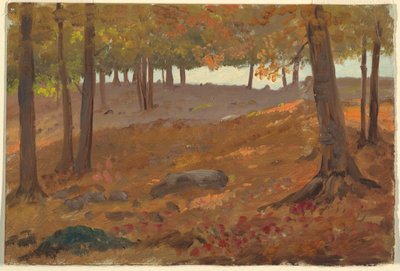 Kresba, Les na podzim, 1870-80 od Unknown artistUnknown artist