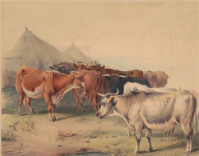Stádo dobytka od Unknown artist