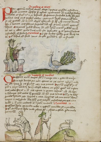 Král na trůně mluví s pávem; pastýř zabíjí berana; pastýř s holí a nožem před dvěma kozami. od Unknown artist