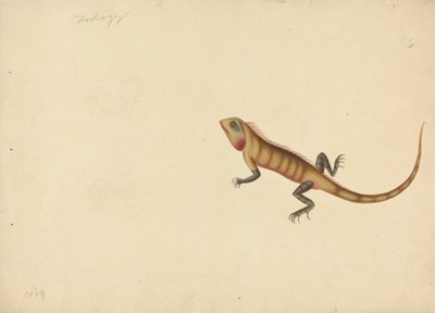Ještěrka s náčrtky štíra a pavouka od Unknown artist