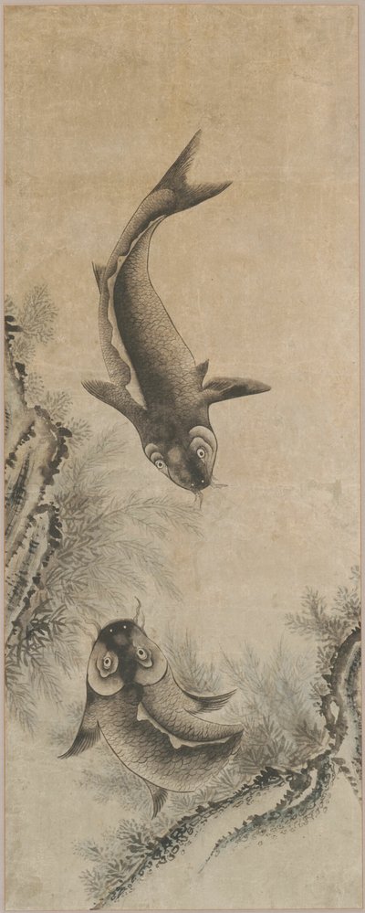 Pár kaprů od Unknown artist