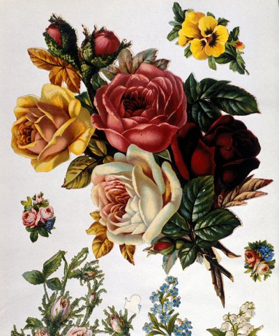 Kytice růží. Chromolitografie 19. století. od Unknown artist
