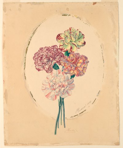 Svazek čtyř karafiátů od Unknown artist