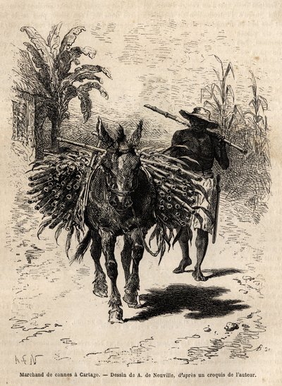 Obchodník s třtinou a jeho mezek v Cartagu (Kostarika), jediný obchodník, který oživuje prázdné ulice města. Rytina k ilustraci plavby do Nové Granady, od Dr. Saffraye, v roce 1869, publikovaná v “”Le tour du monde”””” 1873, editoval Edouard Char od Unknown artist