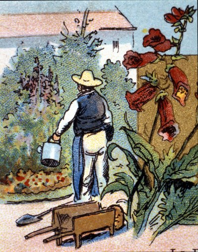 Zahradník, chromolitografie od Unknown artist