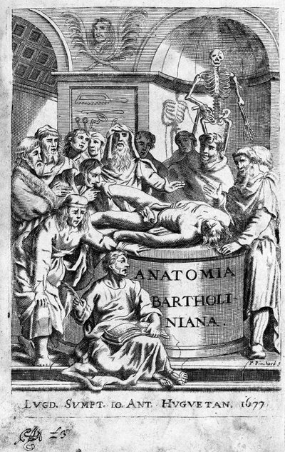 Lekón anatomie Frontispice přebírá z „Anatomia Reformata““ od Thomase Bartholina (1616-80) (Bartholinus) 1677 od Unknown artist
