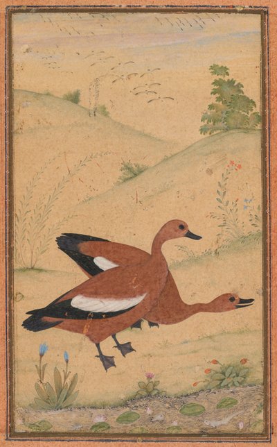 Pár kachen brahmínských od Unknown artist