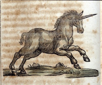 Jednorožec nebo jednorožec, mytologické zvíře - rytina z díla Athanasius Kircher (1601-1680), jezuita, orientalista a germanista od Unknown artist