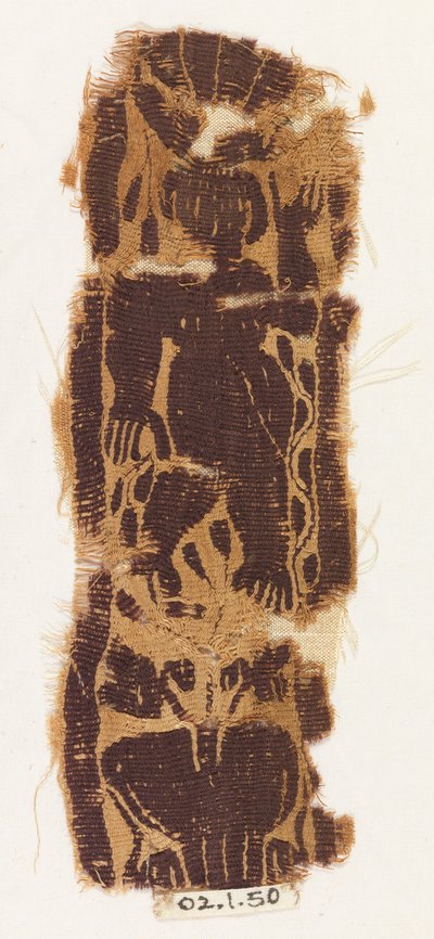 Fragment kapely od Unknown artist