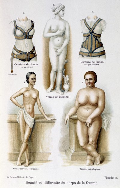 Krása a deformace ženského těla (štíhlá a obezita); Junino pásy - v „Žena, domácí lékař““ od Unknown artist