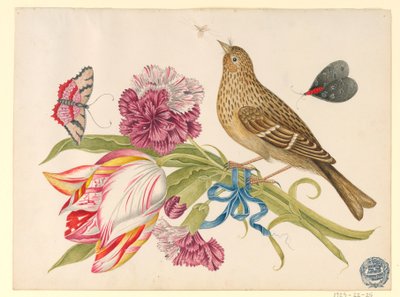 Pták s tulipánem, karafiátem, motýly a hmyzem od Unknown artist