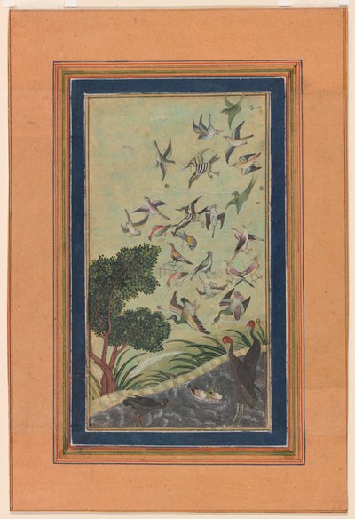 Ptáci v Baranu, možná z Babur-nama od Unknown artist