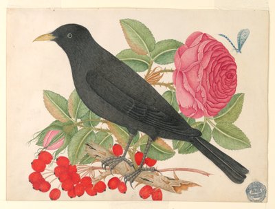 Černý pták s růžemi od Unknown artist