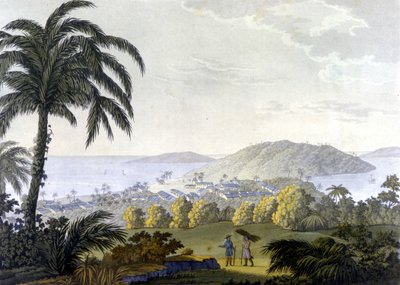 Brazílie, pohled na město Ilheus ve státě Bahia od Unknown artist