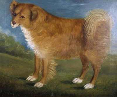 Hnědý pes v krajině, cca 1850 (olej na plátně) od Unknown artist
