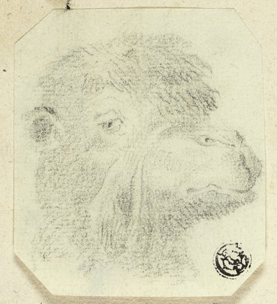 Velbloudí hlava směřující doprava od Unknown artist
