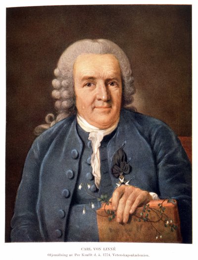 Carl Von Linné švédský přírodovědec a spisovatel od Unknown artist