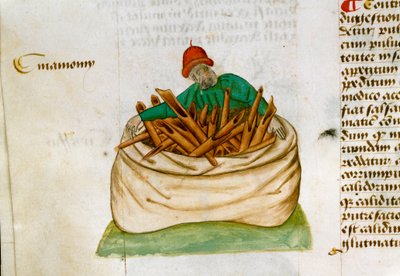 Prodavač skořice Popis léčivých rostlin a jak je připravit. Rukopisná stránka „“Léky na bylinkách““ (Tractatus de herbis) od Pedanius Dioscorides (Dioscorides) (40-90 n. l.) Lat.1152 od Unknown artist