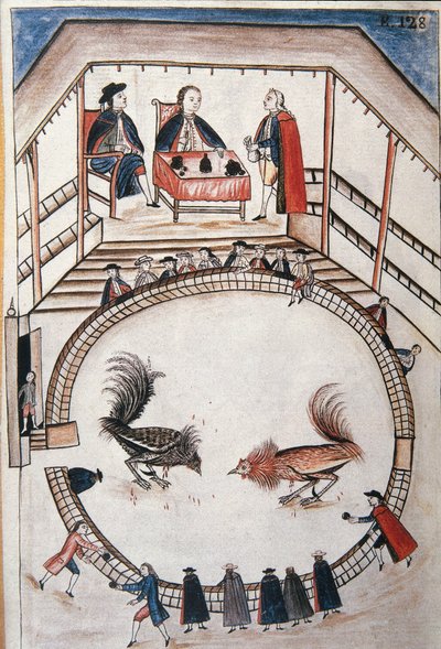 Kohoutí zápas, souboj se účastní šlechtic, z knihy "Trujillo del Peru" nebo "Códice Martínez Compañón", od Baltazara Martineze Compañóna y Bujandy, biskupa z Trujillo (1782-1785) od Unknown artist