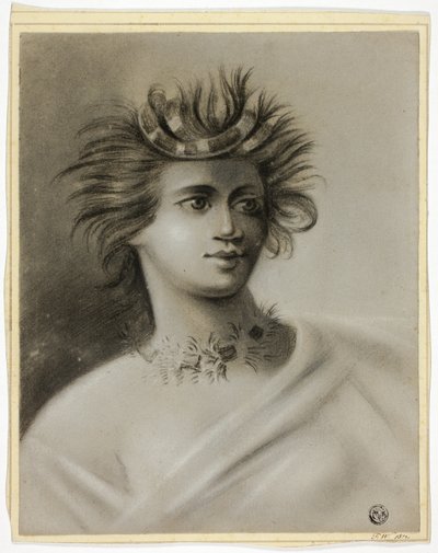Cookovy cesty do Polynésie od Unknown artist