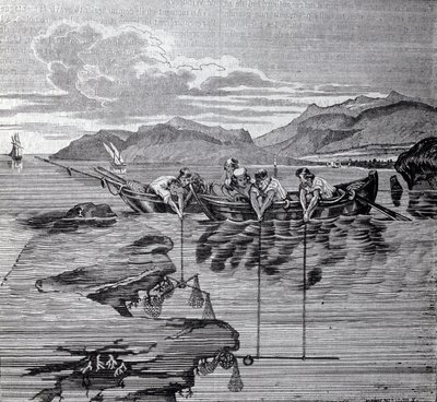 Lov korálů s pomocí salaber a zařízení. od Unknown artist