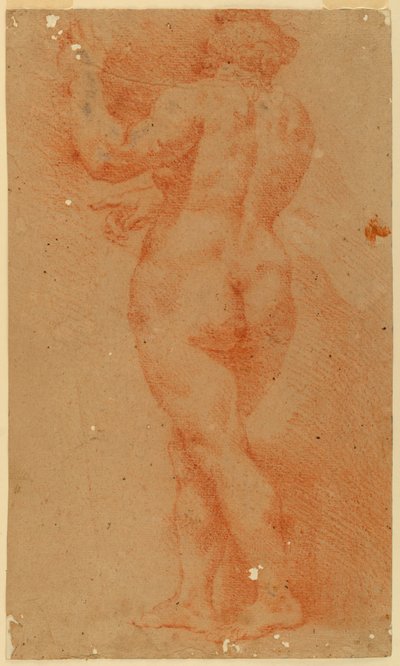 Protikladná studie nahé ženy od Unknown artist