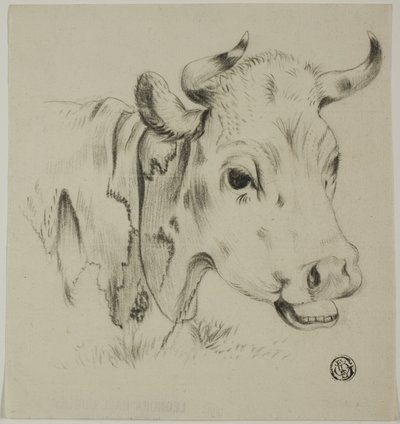Kraví hlava od Unknown artist