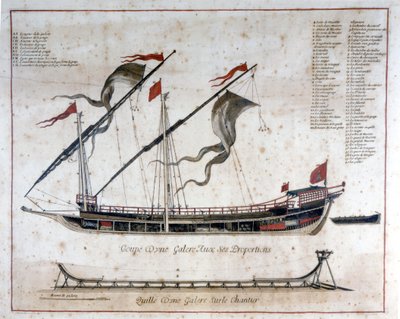 Pohár galéry z 18. století. od Unknown artist