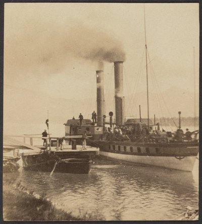 Přístaviště parníků v Rolandsecku od Unknown artist