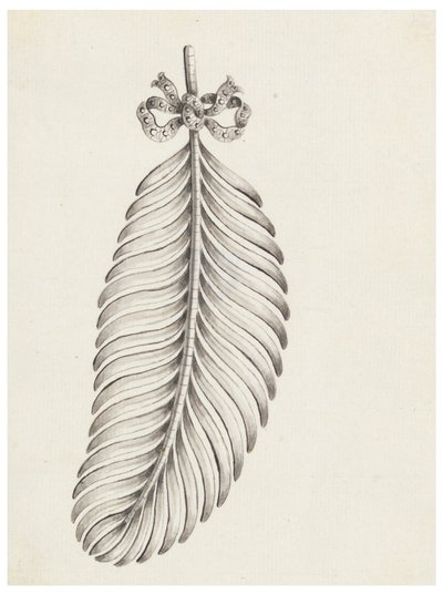 Design pro brož ve tvaru pírka od Unknown artist