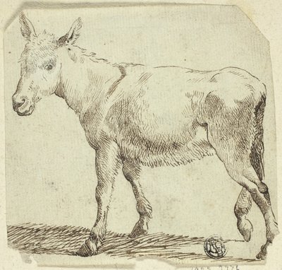 Osel od Unknown artist